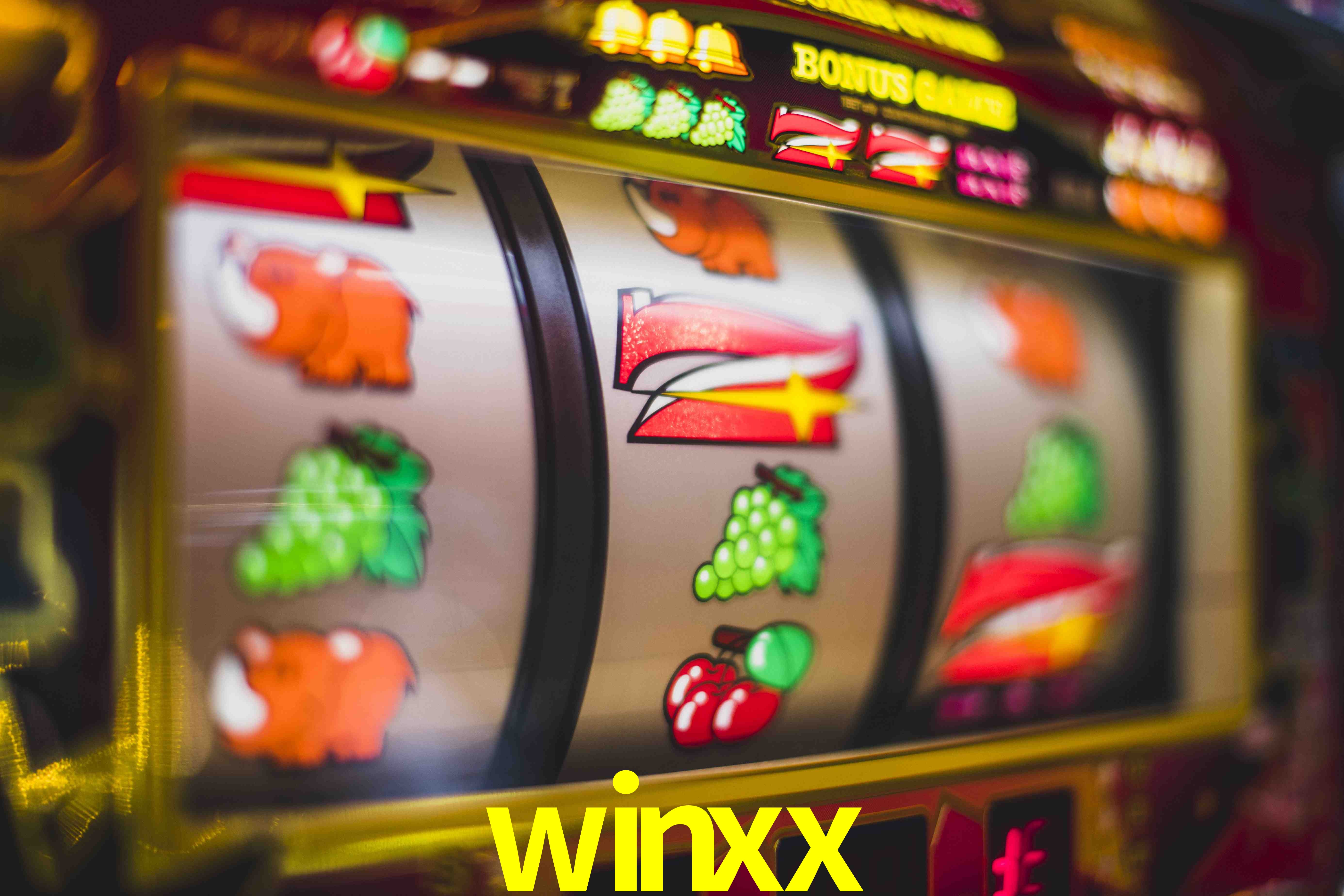 Live Casino winxx